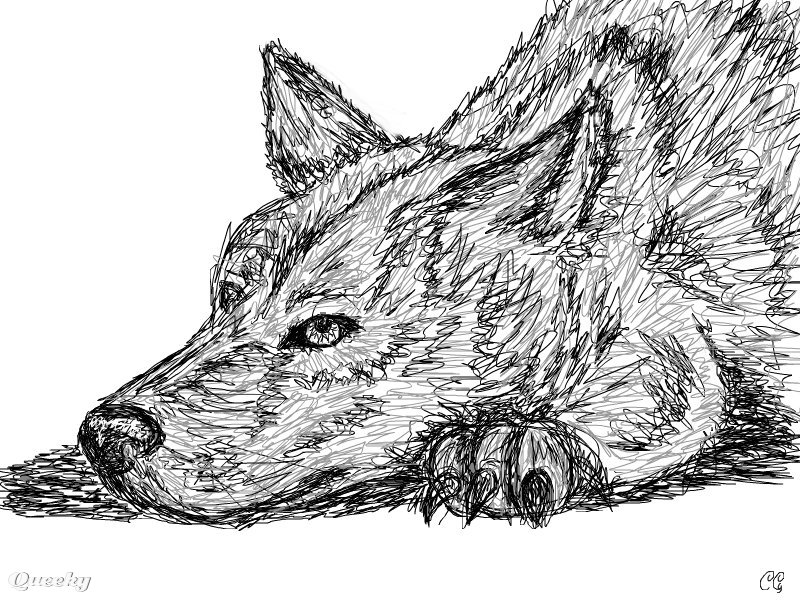 800x600 Dog Face An Animals Speedpaint Drawing - Dog Face Drawing