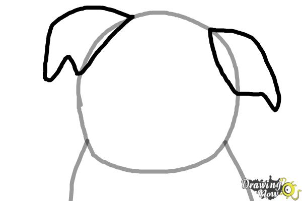 600x400 How To Draw A Dog Face - Dog Face Drawing Step By Step