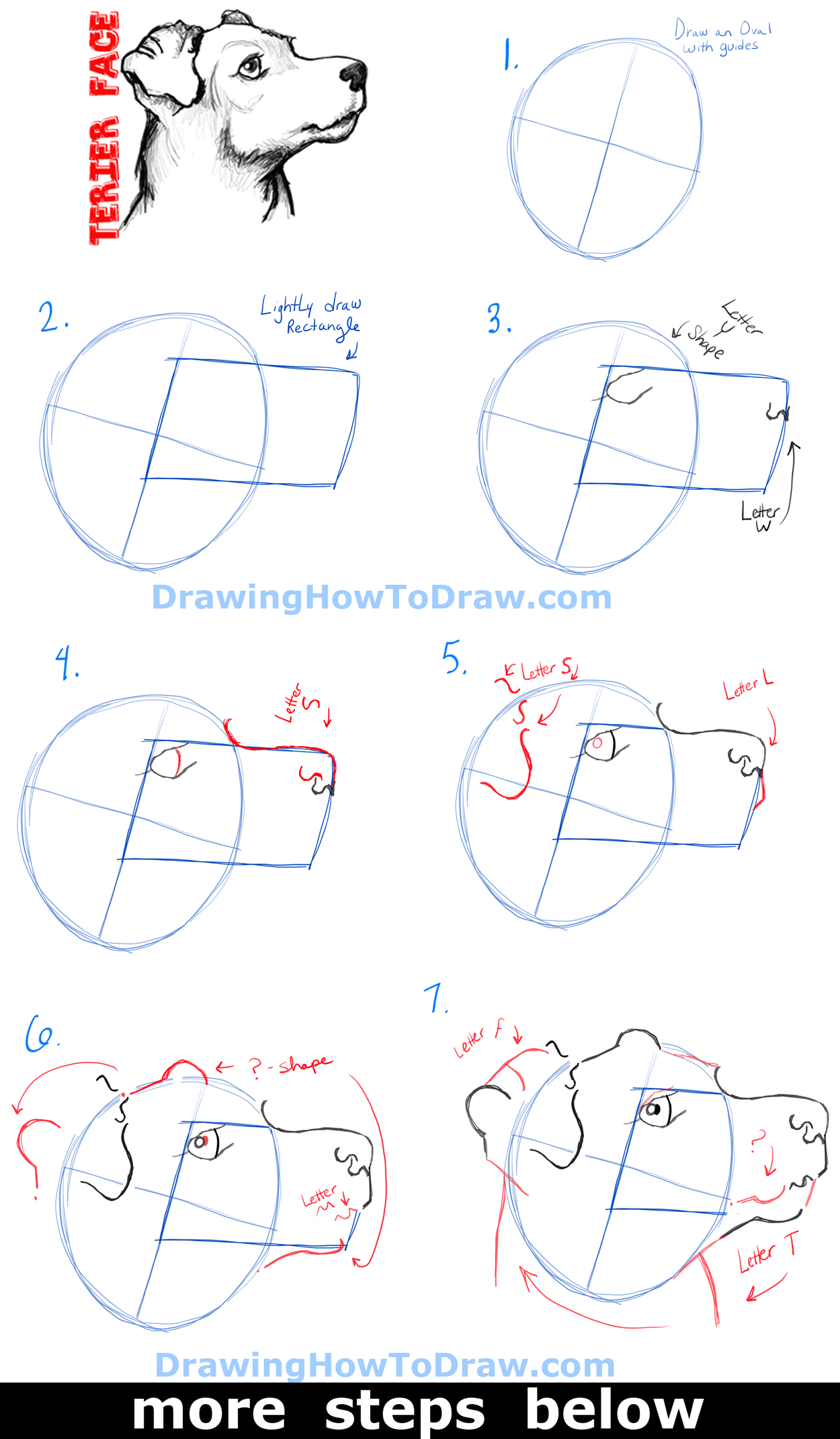 1250x2141 how to draw a terrier's face dog's face with easy steps - Dog Face Drawing Step By Step