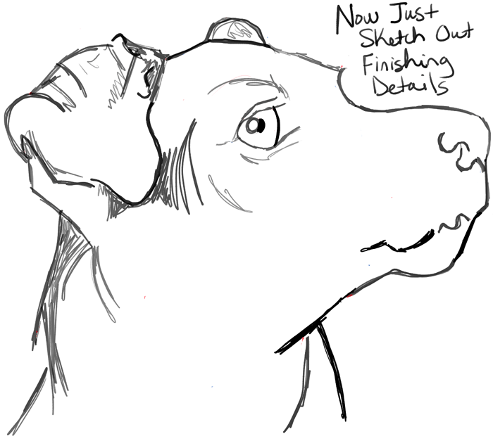 Dog Face Drawing Step By Step at Explore