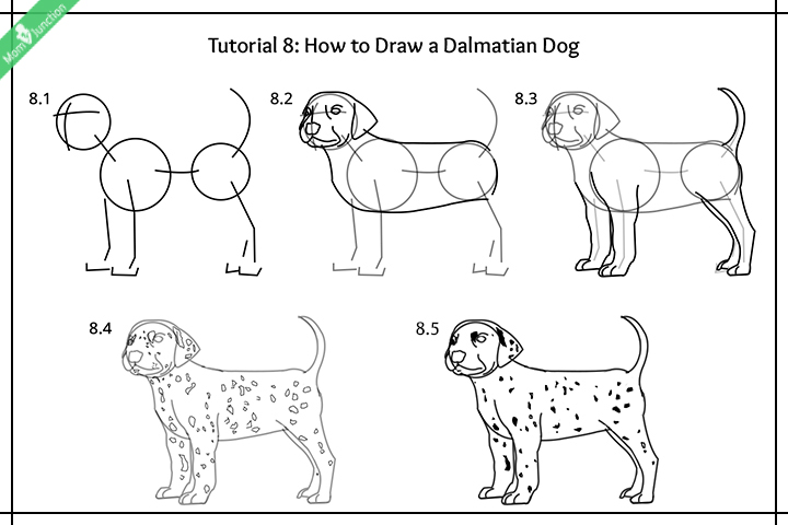 720x480 Step - Dog Face Drawing Step By Step