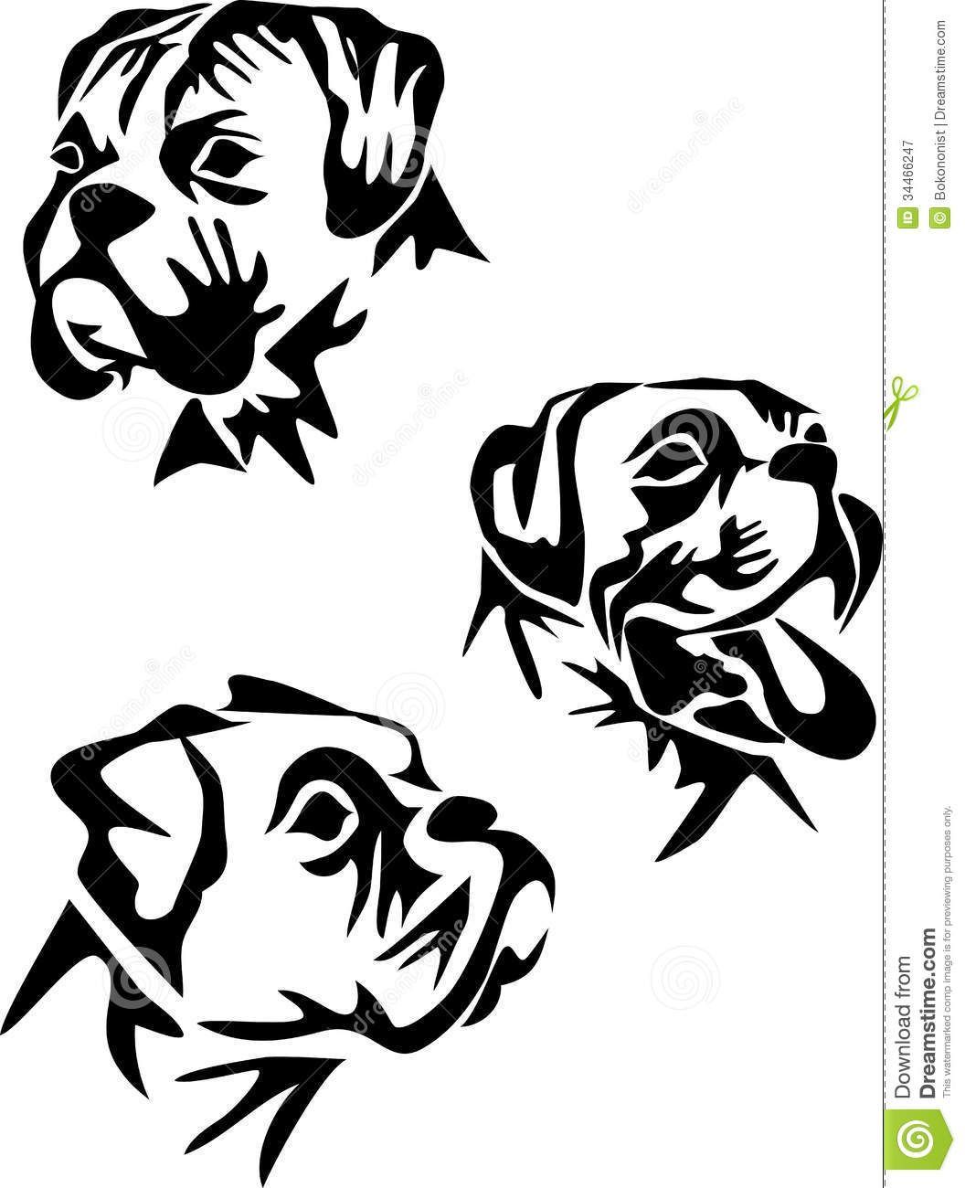 Dog Face Line Drawing At Paintingvalley Com Explore Collection