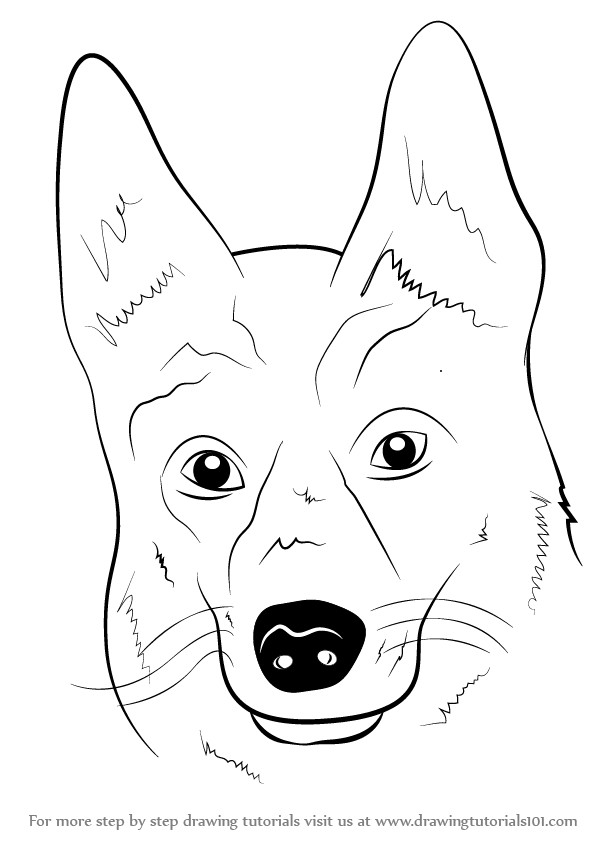 598x844 how to draw a german shepherd learn how to draw german shepherd - Dog Face Line Drawing