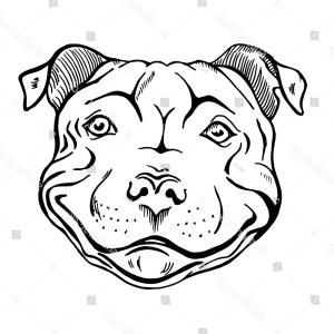 Dog Face Line Drawing at PaintingValley.com | Explore collection of Dog ...