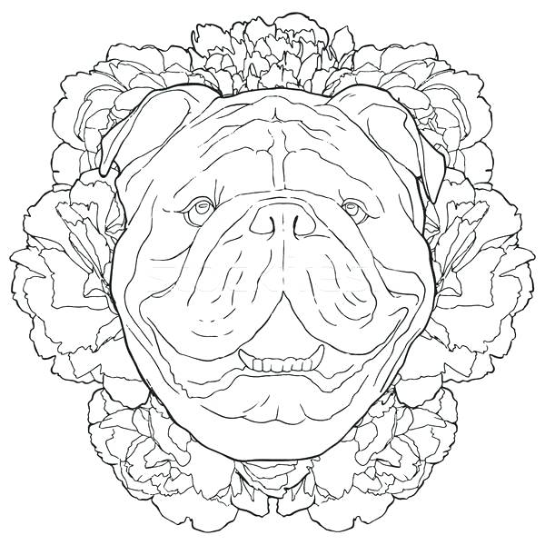 600x600 black outline illustration of bulldog and peonies hand drawn dog - Dog Face Line Drawing