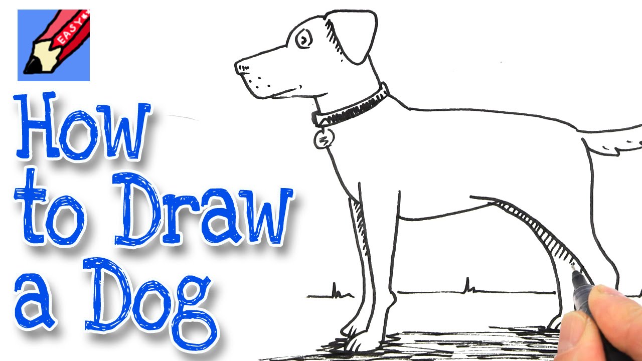 1280x720 How To Draw A Dog Real Easy - Dog For Drawing