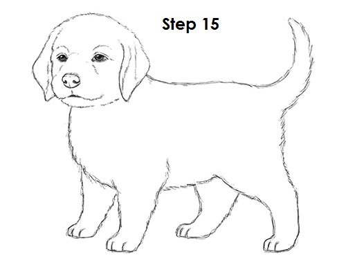 500x386 A Drawing Of A Dog - Dog For Drawing