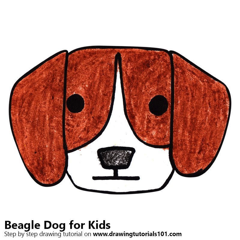 800x800 learn how to draw a beagle dog for kids - Dog For Kids Drawing