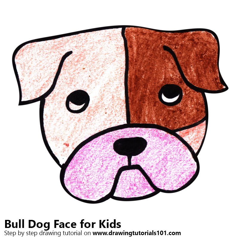 800x800 Learn How To Draw A Bull Dog Face For Kids - Dog For Kids Drawing