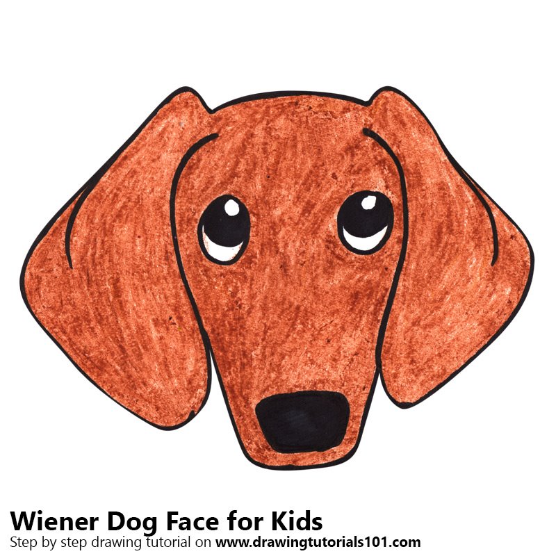800x800 learn how to draw a wiener dog face for kids - Dog For Kids Drawing
