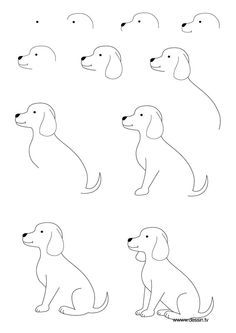236x333 The Kids Will Love This How To Draw A Dog Step - Dog For Kids Drawing
