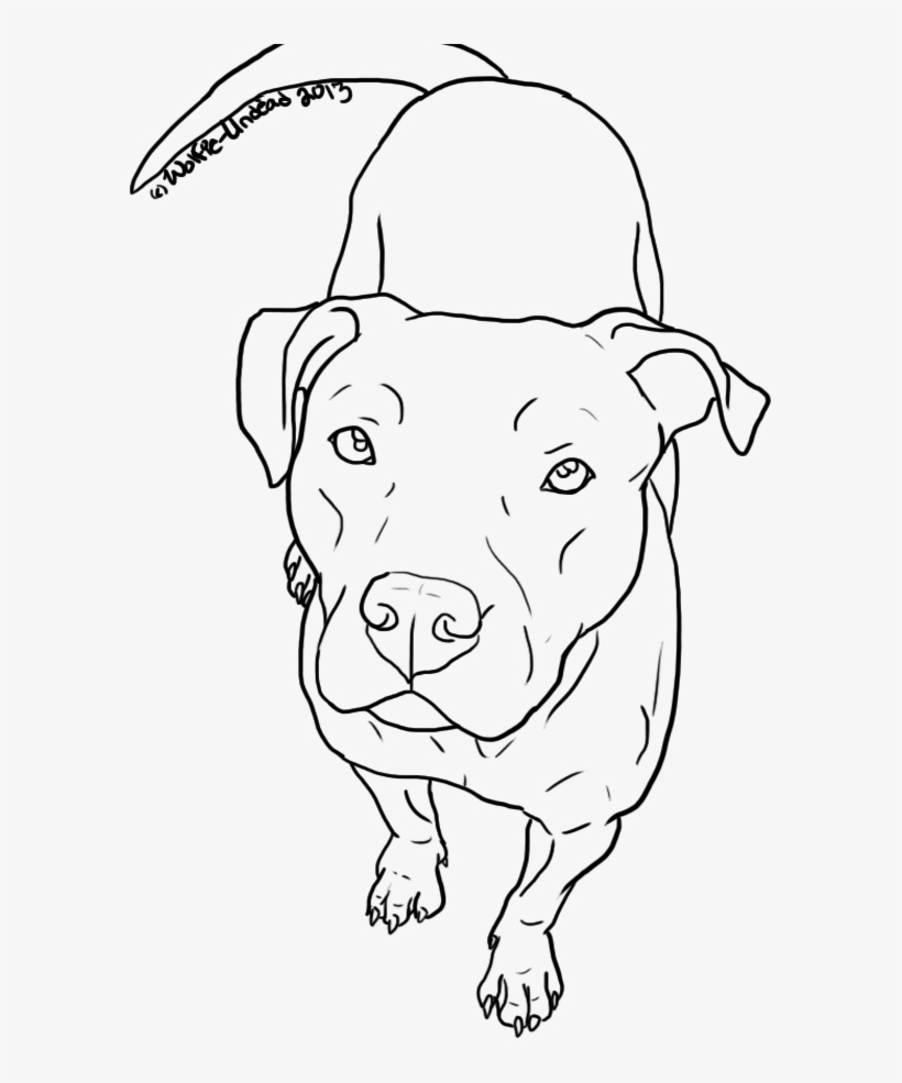 820x985 pitbull dog head png - Dog Head Drawing