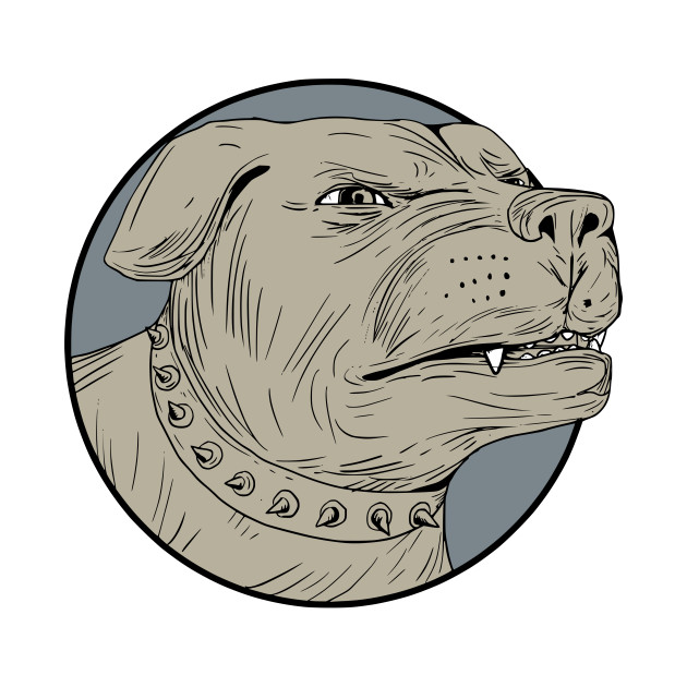 630x630 rottweiler guard dog head aggressive drawing - Dog Head Drawing