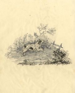 242x300 spaniel dog jumping over a fence - Dog Jumping Drawing