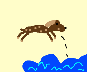 300x250 a dog jumping into a puddle drawing - Dog Jumping Drawing