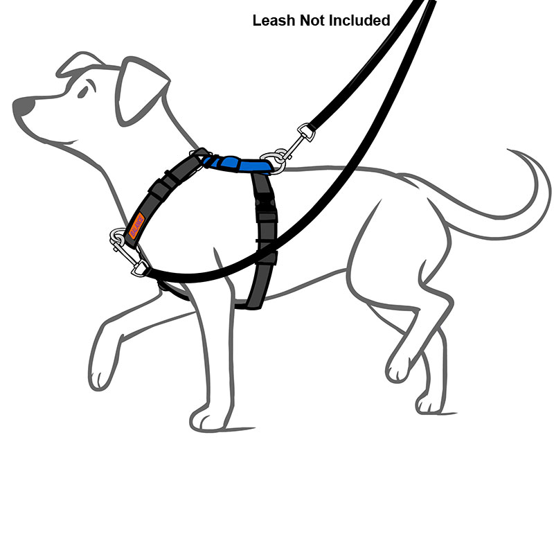 Dog Leash Drawing at Explore collection of Dog