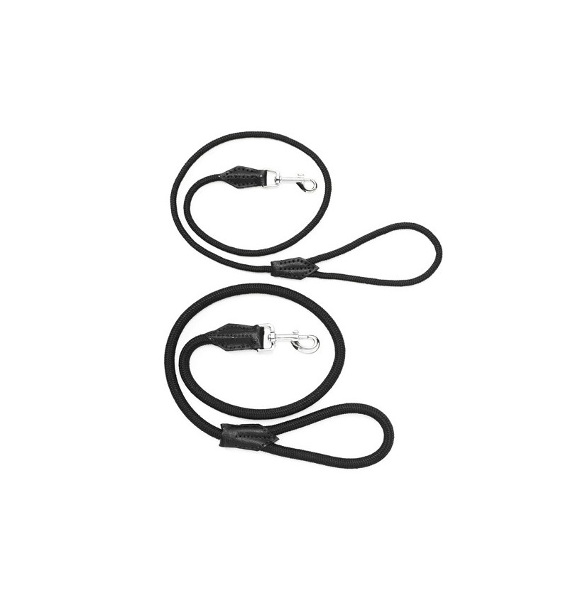 800x842 rome cavalieri dog leash - Dog Leash Drawing