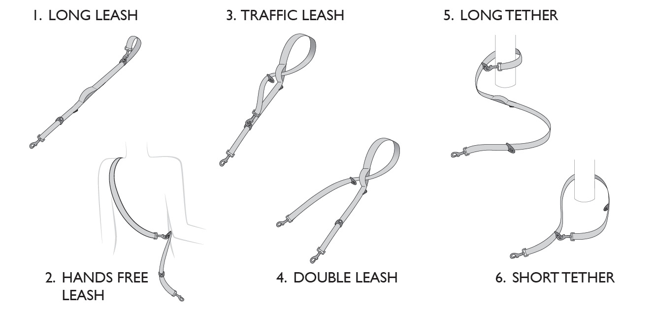 1334x634 versatile dog leash ezydog vario webbing lead - Dog Leash Drawing