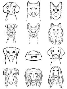 236x314 Dog Line Drawing Stock Photos, Images, Pictures Shutterstock - Dog Line Drawing