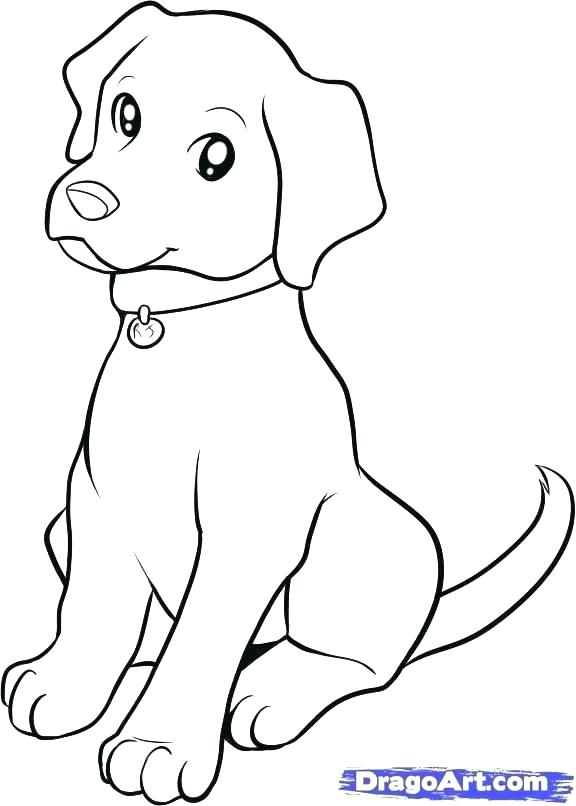 Dog Line Drawing at PaintingValley.com | Explore collection of Dog Line ...