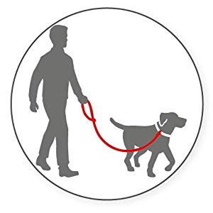 300x300 the company of animals halti training lead, black, large amazon - Dog Line Drawing