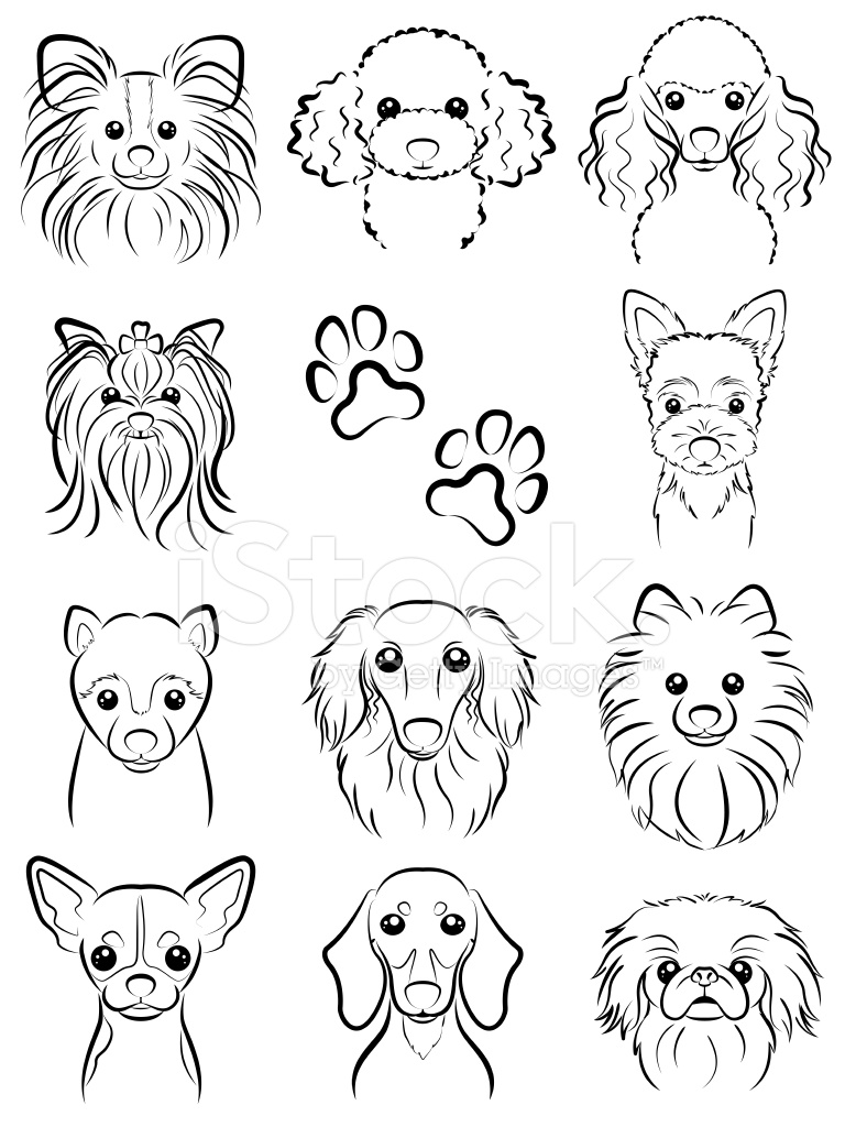 768x1024 Dog Line Drawing Stock Vector - Dog Line Drawing