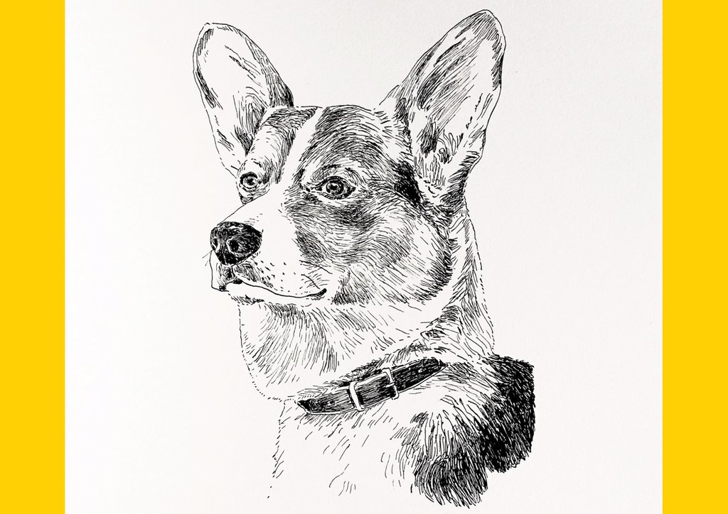 Dog Line Drawing Art at PaintingValley.com | Explore collection of Dog ...