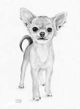 165x225 Personal Prints Chihuahua Dog Line Drawing Framed Art Is For Sale - Dog Line Drawing Art