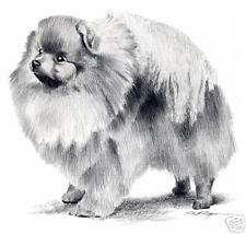 225x214 Personal Prints Pomeranian Dog Line Drawing Framed Art Delivery - Dog Line Drawing Art