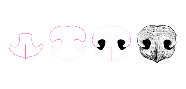 600x290 How To Draw Animals Dogs And Wolves, And Their Anatomy - Dog Mouth Drawing