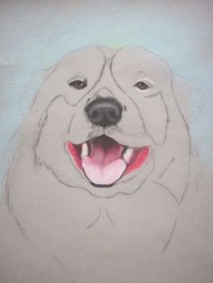 236x314 Best Dog Mouth Images Draw Animals, Sketches Of Animals - Dog Mouth Drawing