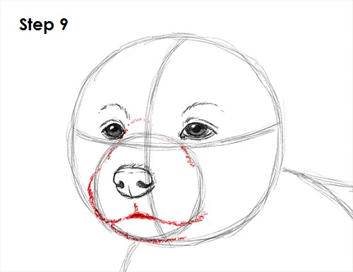 500x386 How To Draw A Puppy - Dog Mouth Drawing