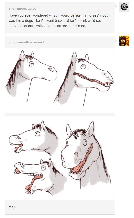 540x880 If Horses Were Like Dogs Animals Know Your Meme - Dog Mouth Drawing