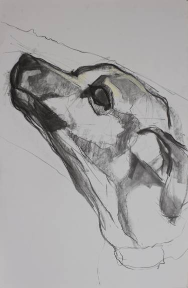 375x576 Barking Stray Dog, Mouth Closed Drawing - Dog Mouth Drawing