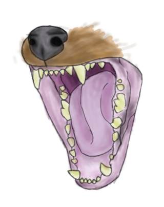 320x404 Africanwilddog Drawings On Paigeeworld Pictures Of Africanwilddog - Dog Mouth Drawing