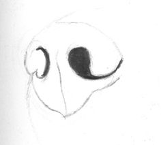 236x213  - Dog Nose Drawing