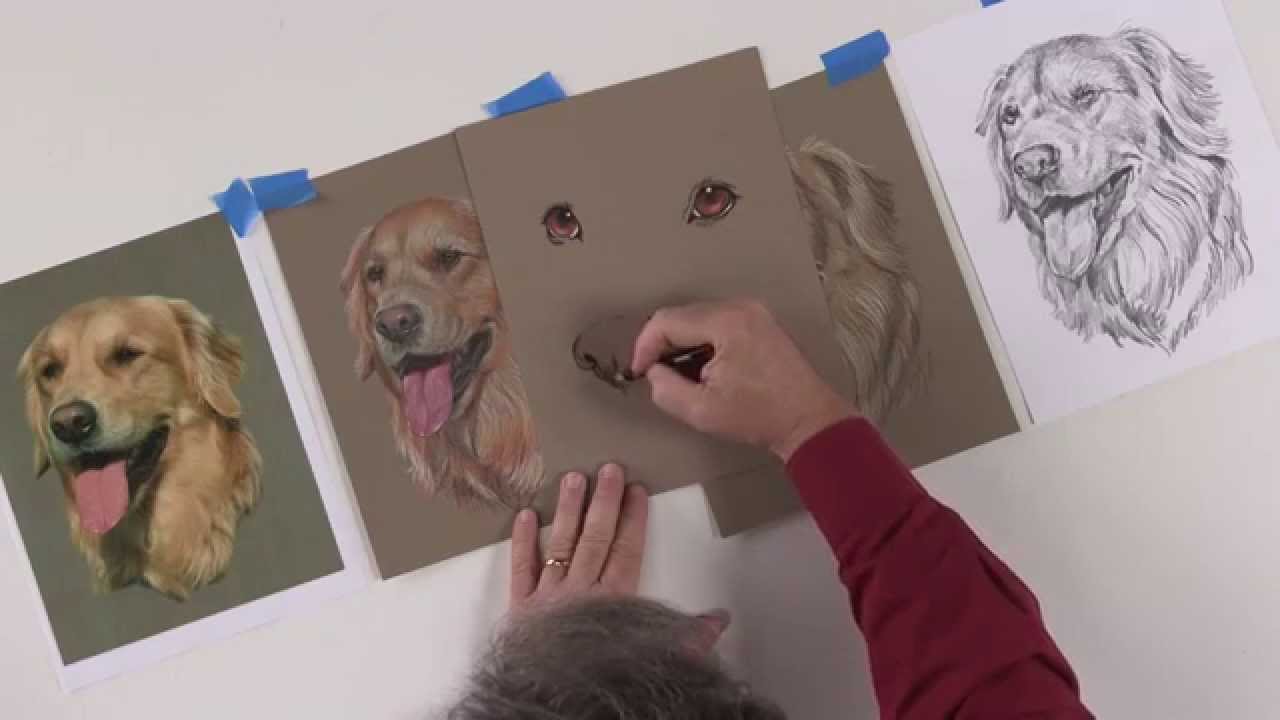 1280x720 sneak peek learn how to draw a dog's nose in colored pencil - Dog Nose Drawing
