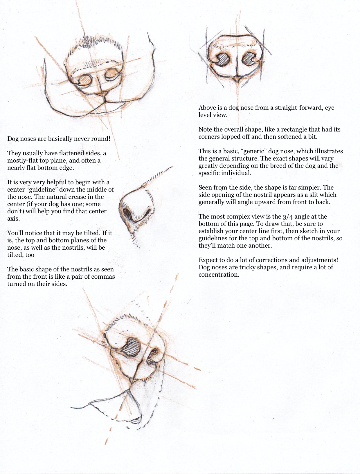 1240x1633 Drawing Dog Noses Why Is It So Hard Tracie Thompson - Dog Nose Drawing