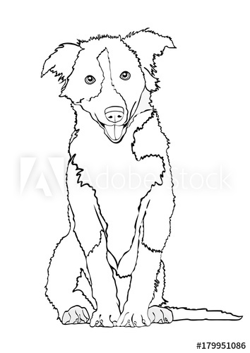 354x500 Dog Vector Outline Drawing, Sketch, Coloring Book Black And White - Dog Outline Drawing
