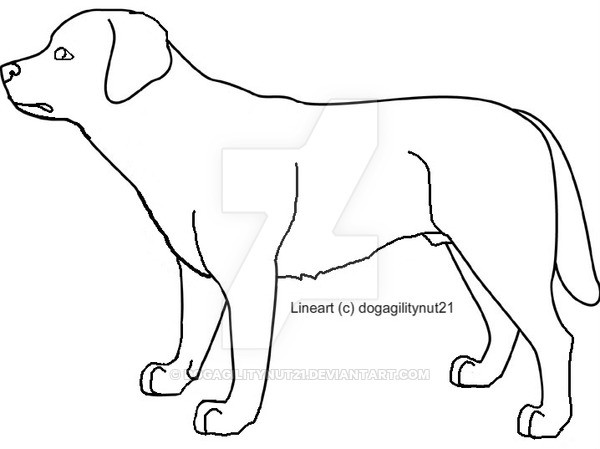600x449 How To Draw A German Shepherd Face Step - Dog Outline Drawing