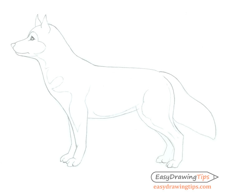 728x626 How To Draw A Dog Step - Dog Outline Drawing