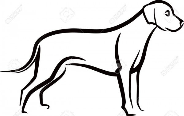 600x381 Outline Drawing Of A Dog Dog Outline Stock Photos Images Royalty - Dog Outline Drawing