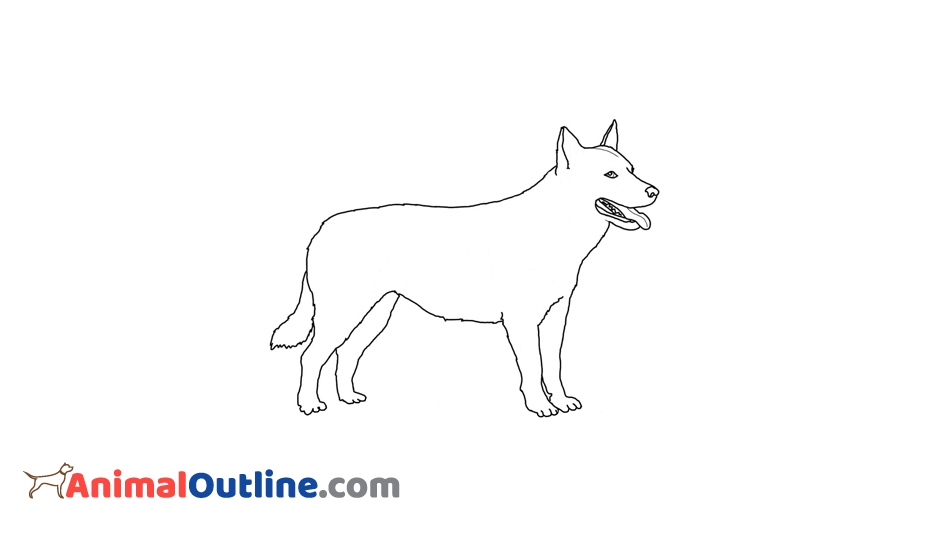 Dog Outline Drawing at PaintingValley.com | Explore collection of Dog ...