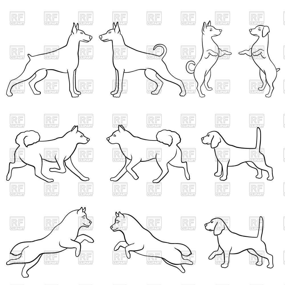 1000x1000 Set Of Ten Hand Drawing Dog Outlines Over White Background Vector - Dog Outline Drawing