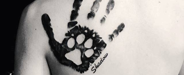 640x260 dog paw tattoo designs for men - Dog Paw Drawing