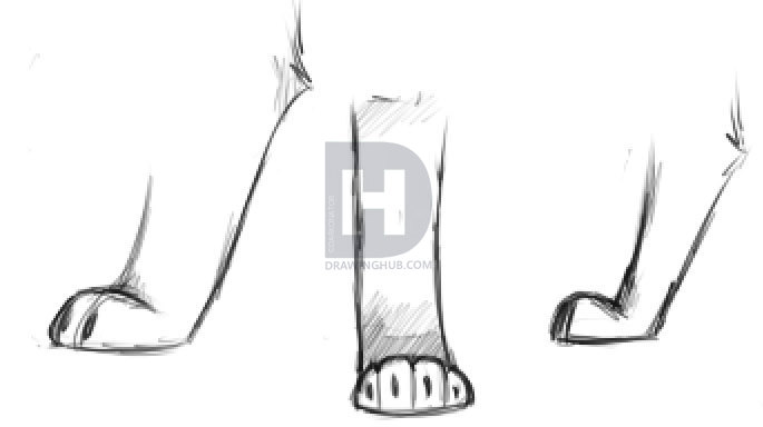 685x384 How To Draw Dog Paws, Step - Dog Paw Drawing