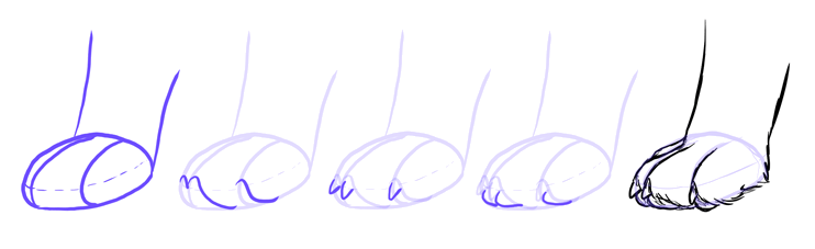 742x227 How To Draw A Dog Details Make The Difference - Dog Paw Drawing