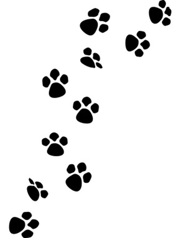 640x787 How To Draw Cat Paw Prints Ehow - Dog Paw Print Drawing