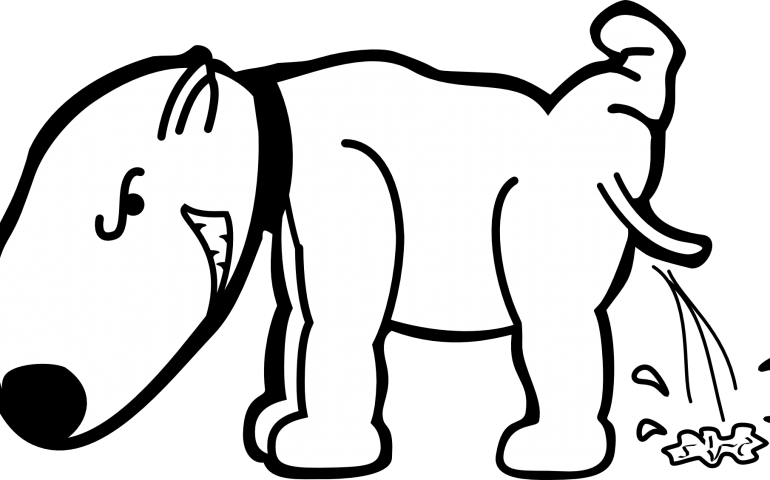 770x480 how do i tell my dog that peeing on my leg is not okay pedigree - Dog Peeing Drawing