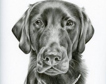 340x270 Pencil Pet Drawing Etsy - Dog Pencil Drawing